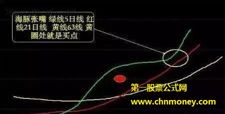 如何运用海豚张嘴形态捕捉牛股