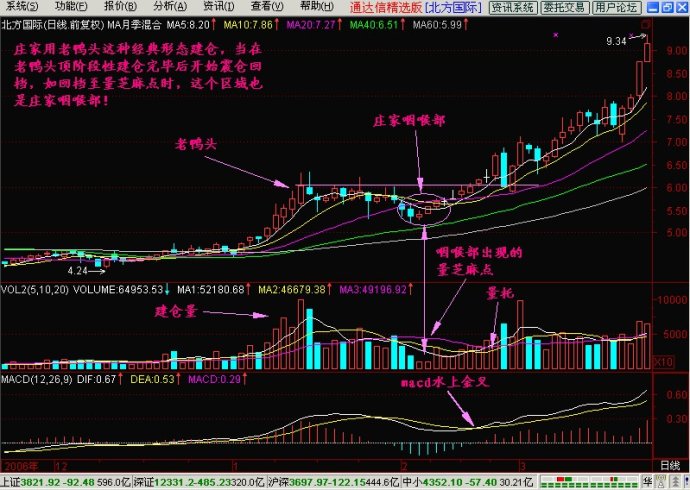 庄家自述nbsp;nbsp;nbsp;一旦消息泄密庄家必死无疑 - 金雕 - 金雕捕牛