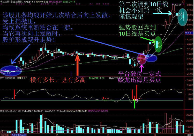 炒股一招鲜之——经典K线图解 - 天马行空 - 大道至简 ,快乐股道!