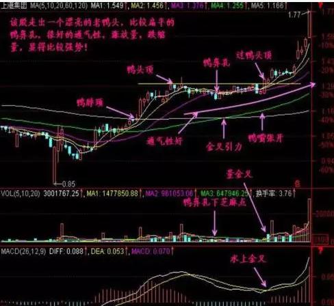 老鸭头战法之精髓