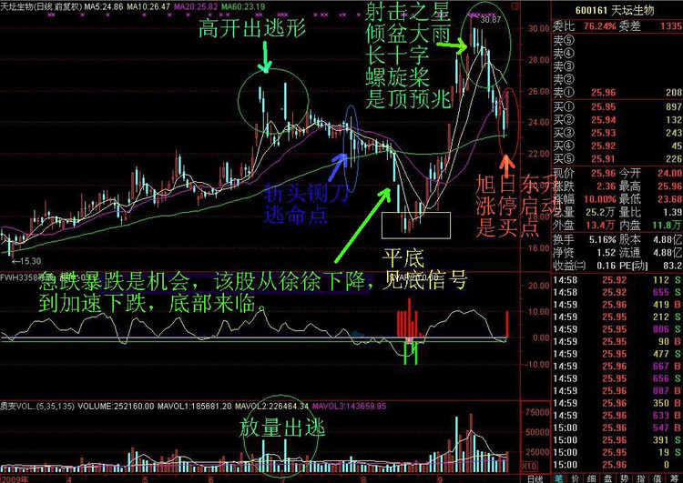 炒股一招鲜之——经典K线图解 - 天马行空 - 大道至简 ,快乐股道!
