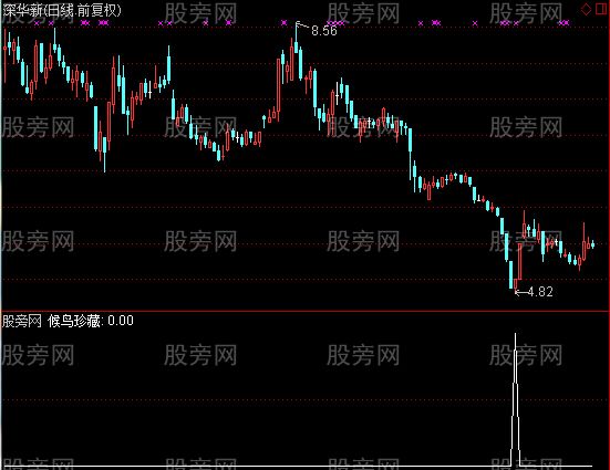 通达信候鸟珍藏选股指标公式
